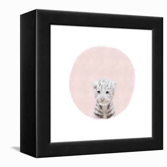 Baby White Tiger Pink-Leah Straatsma-Framed Stretched Canvas