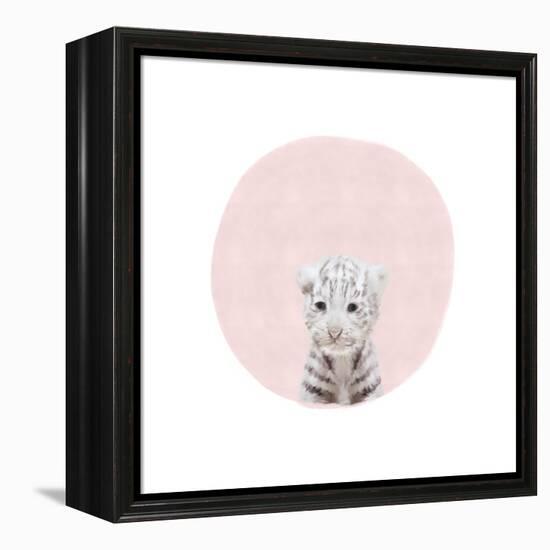 Baby White Tiger Pink-Leah Straatsma-Framed Stretched Canvas