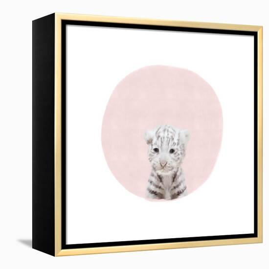 Baby White Tiger Pink-Leah Straatsma-Framed Stretched Canvas