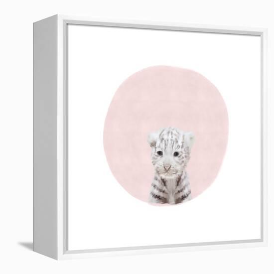 Baby White Tiger Pink-Leah Straatsma-Framed Stretched Canvas