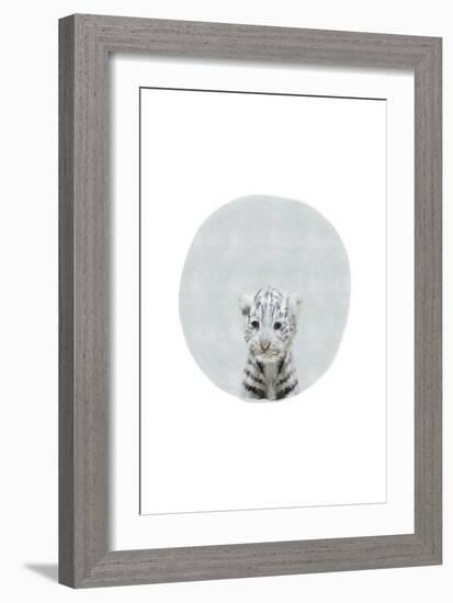 Baby White Tiger-Leah Straatsma-Framed Art Print