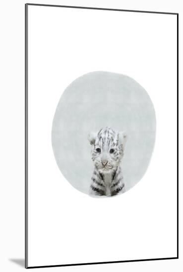 Baby White Tiger-Leah Straatsma-Mounted Art Print