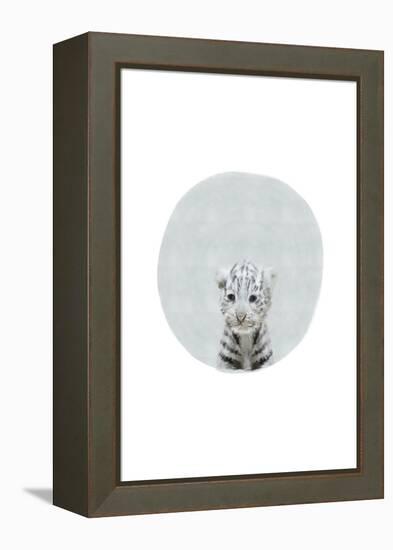 Baby White Tiger-Leah Straatsma-Framed Stretched Canvas