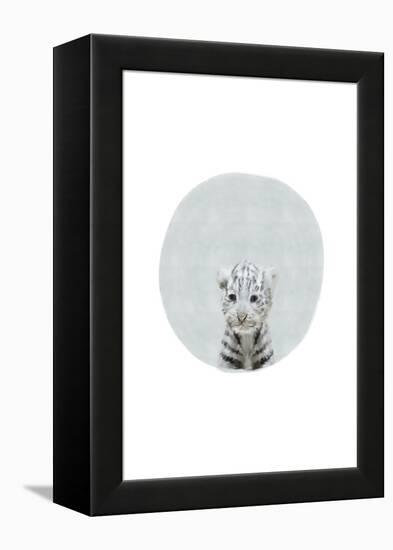 Baby White Tiger-Leah Straatsma-Framed Stretched Canvas