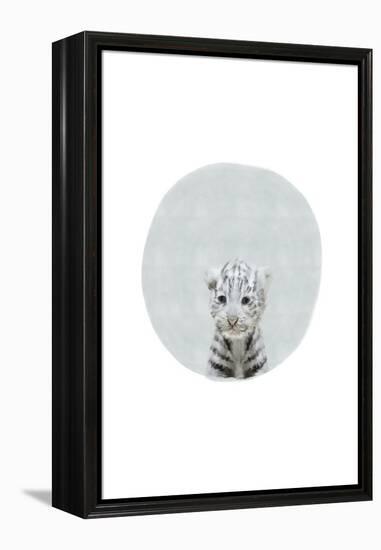 Baby White Tiger-Leah Straatsma-Framed Stretched Canvas