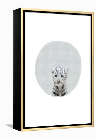 Baby White Tiger-Leah Straatsma-Framed Stretched Canvas