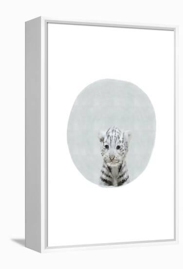 Baby White Tiger-Leah Straatsma-Framed Stretched Canvas