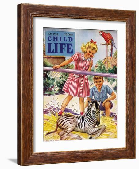 Baby Zebra - Child Life, May 1946-Katherine Wireman-Framed Giclee Print