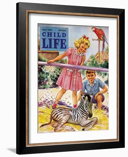 Baby Zebra - Child Life, May 1946-Katherine Wireman-Framed Giclee Print