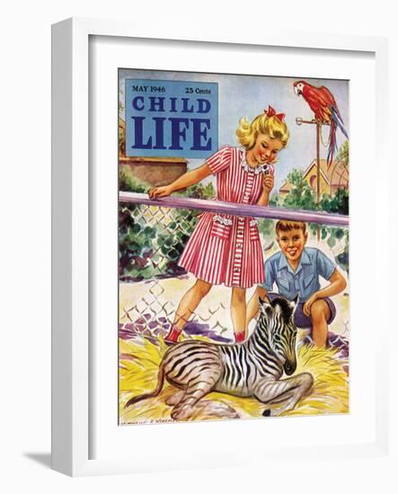 Baby Zebra - Child Life, May 1946-Katherine Wireman-Framed Giclee Print