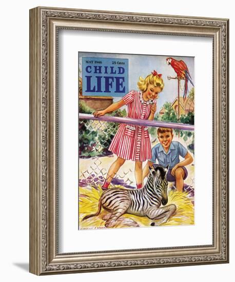 Baby Zebra - Child Life, May 1946-Katherine Wireman-Framed Giclee Print