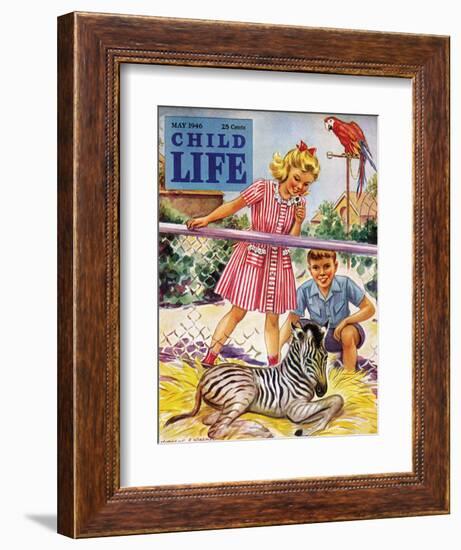 Baby Zebra - Child Life, May 1946-Katherine Wireman-Framed Giclee Print