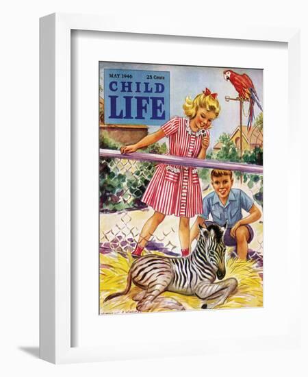 Baby Zebra - Child Life, May 1946-Katherine Wireman-Framed Giclee Print