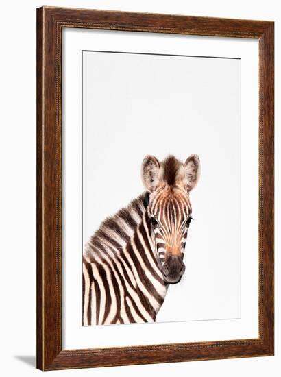 Baby Zebra-Tai Prints-Framed Art Print