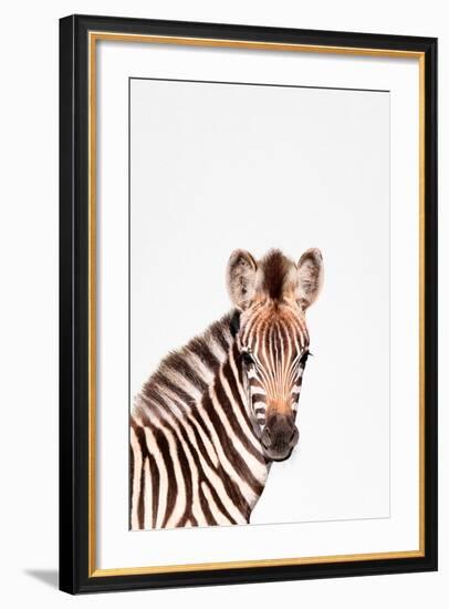 Baby Zebra-Tai Prints-Framed Art Print