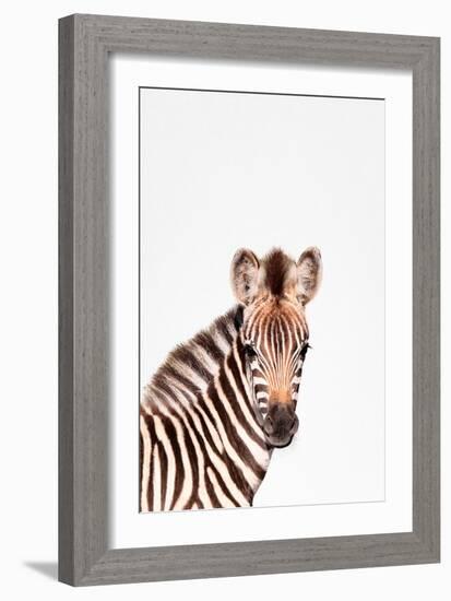 Baby Zebra-Tai Prints-Framed Art Print