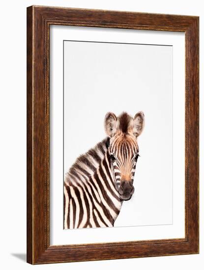 Baby Zebra-Tai Prints-Framed Art Print