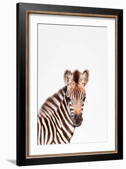 Baby Zebra-Tai Prints-Framed Art Print