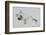 Baby-Vincent Alexander Booth-Framed Photographic Print
