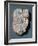 Babylonian Map of the World-null-Framed Photographic Print