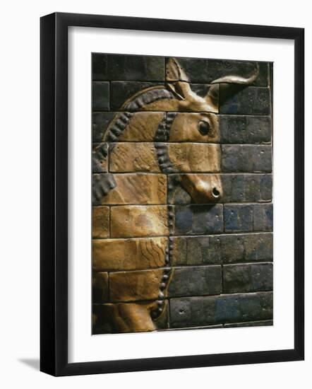 Babylonian Wall Tiles, Babylon, Iraq, Middle East-Christina Gascoigne-Framed Photographic Print