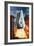 BAC's 'Mustard' Space Transporter-Wilf Hardy-Framed Giclee Print