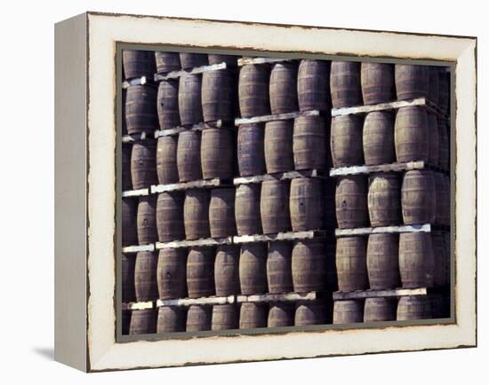 Bacardi Rum Ages in Oak Barrels, San Juan, Puerto Rico-Michele Molinari-Framed Premier Image Canvas