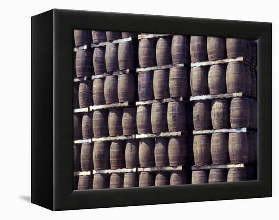 Bacardi Rum Ages in Oak Barrels, San Juan, Puerto Rico-Michele Molinari-Framed Premier Image Canvas