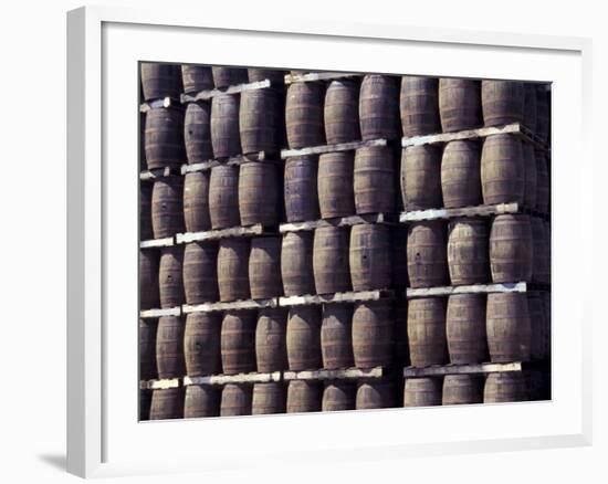 Bacardi Rum Ages in Oak Barrels, San Juan, Puerto Rico-Michele Molinari-Framed Photographic Print