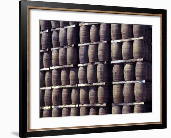 Bacardi Rum Ages in Oak Barrels, San Juan, Puerto Rico-Michele Molinari-Framed Photographic Print