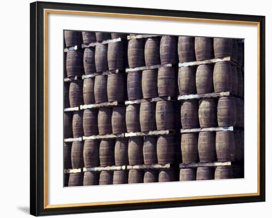 Bacardi Rum Ages in Oak Barrels, San Juan, Puerto Rico-Michele Molinari-Framed Photographic Print