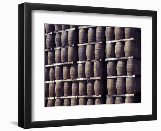 Bacardi Rum Ages in Oak Barrels, San Juan, Puerto Rico-Michele Molinari-Framed Photographic Print