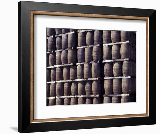 Bacardi Rum Ages in Oak Barrels, San Juan, Puerto Rico-Michele Molinari-Framed Photographic Print