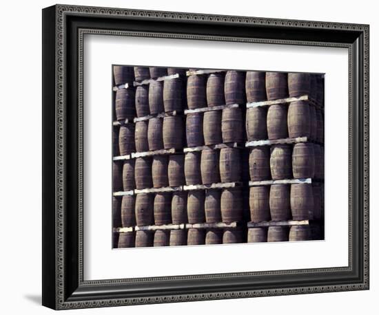Bacardi Rum Ages in Oak Barrels, San Juan, Puerto Rico-Michele Molinari-Framed Photographic Print