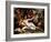 Bacchante and Satyrs, C1713-Sebastiano Ricci-Framed Giclee Print