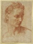 Study of the Head of Saint Paul, C.1535-Baccio Bandinelli-Framed Giclee Print