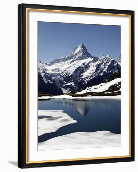 Bachalpsee at Grindelwald-First and Bernese Alps, Bernese Oberland, Swiss Alps, Switzerland, Europe-Hans Peter Merten-Framed Photographic Print