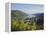 Bacharach, Rhine Valley, Germany, Europe-Hans Peter Merten-Framed Premier Image Canvas