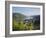 Bacharach, Rhine Valley, Germany, Europe-Hans Peter Merten-Framed Photographic Print