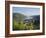 Bacharach, Rhine Valley, Germany, Europe-Hans Peter Merten-Framed Photographic Print