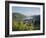 Bacharach, Rhine Valley, Germany, Europe-Hans Peter Merten-Framed Photographic Print