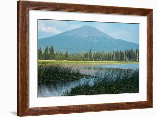 Bachelor in Summer-Stan Hellmann-Framed Photo