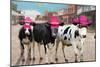 Bachelorette Party-Porter Hastings-Mounted Art Print