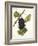 Bachet Grape-J. Troncy-Framed Giclee Print