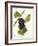 Bachet Grape-J. Troncy-Framed Giclee Print