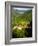 Bachkova Monastery, Rhodope Mountains, Bulgaria, Europe-Dallas & John Heaton-Framed Photographic Print