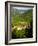 Bachkova Monastery, Rhodope Mountains, Bulgaria, Europe-Dallas & John Heaton-Framed Photographic Print