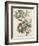 Bachman's Warbler, 1834-John James Audubon-Framed Giclee Print