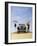 Baci Nel Deserto-Guido Borelli-Framed Giclee Print