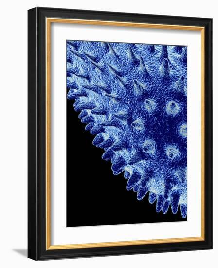 Bacillus Bacteria, Artwork-Mehau Kulyk-Framed Photographic Print